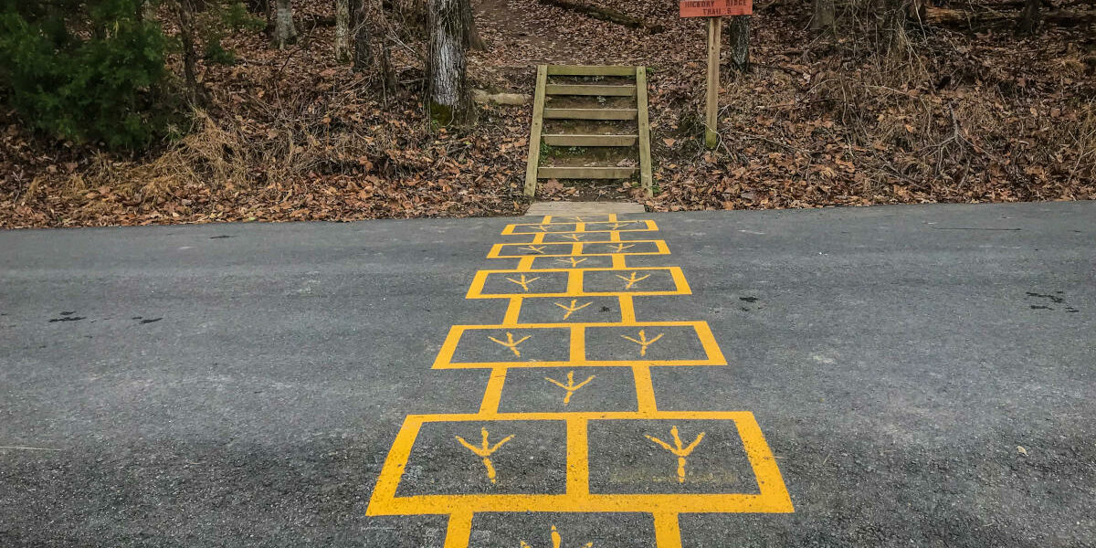 turkey-track-hopscotch-2024-11-27-16-38-58-utc