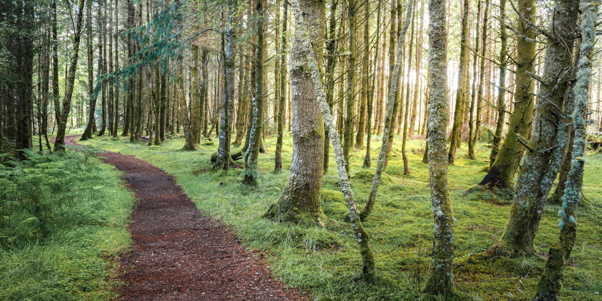Canoeing the Caledonian Canal, near Fort William, Scottish Highlands, Scotland, United Kingdom, Euro