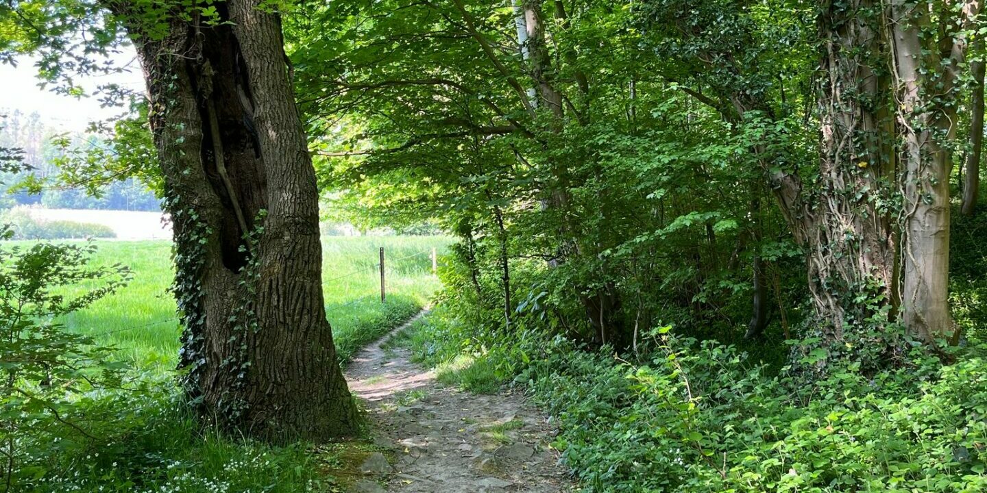 WhatsApp Image 2025-05-01 at 17.08.27